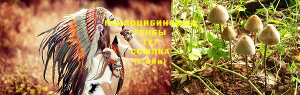 синтетический гашиш Пестово