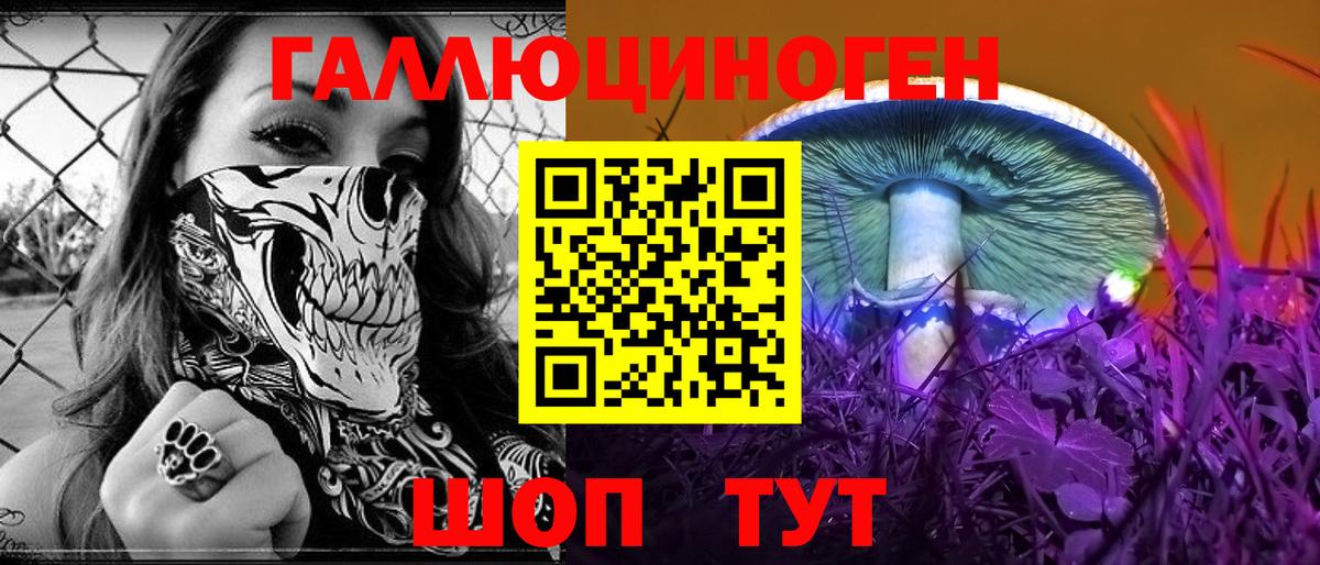 Псилоцибиновые грибы GOLDEN TEACHER  Вход с VPN  Псилоцибиновые грибы мицелий  Скопин 